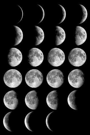 Moon_phases_small